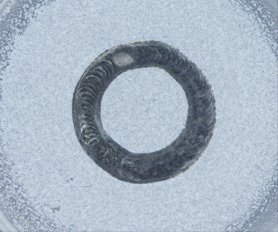 Battery Cell brfore