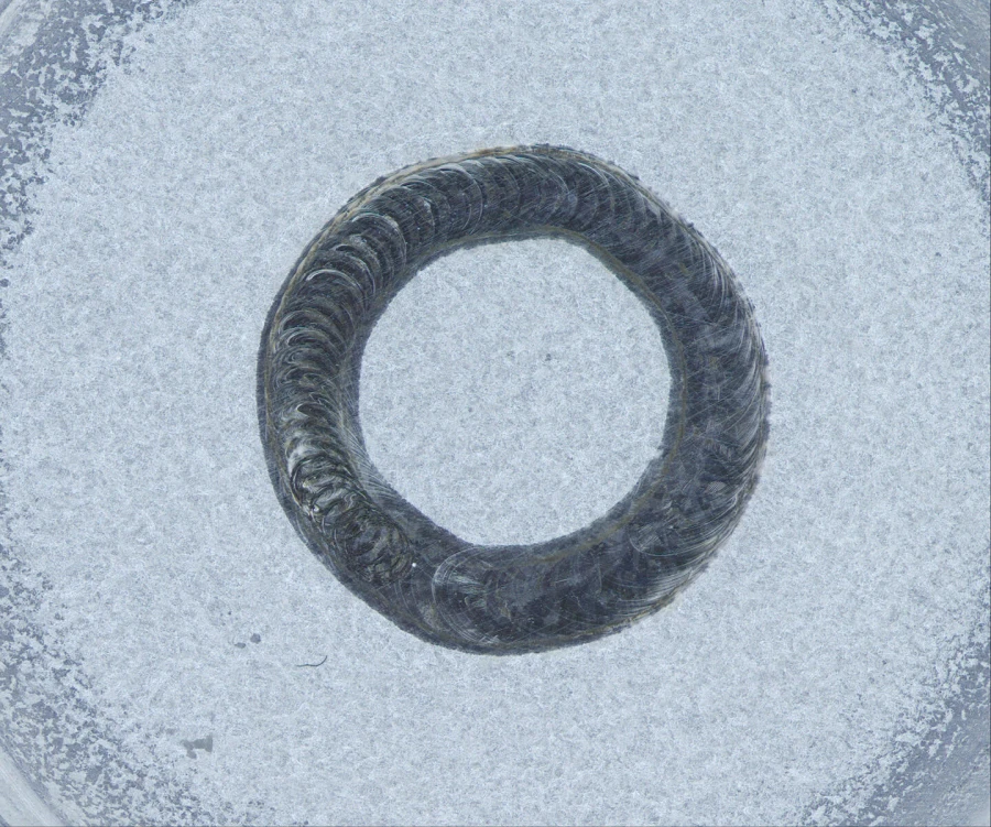 Battery Cell brfore
