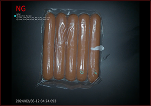 Flexible Plastic Packaging Inspection Application-3
