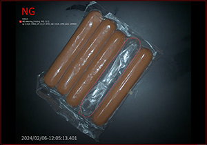 Flexible Plastic Packaging Inspection Application-4