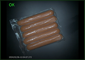 Flexible Plastic Packaging Inspection Application-5