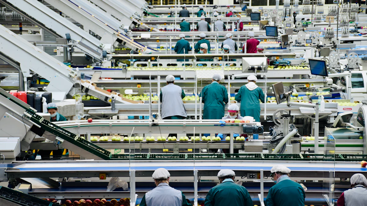 Applications of Machine Vision Products in Food Production