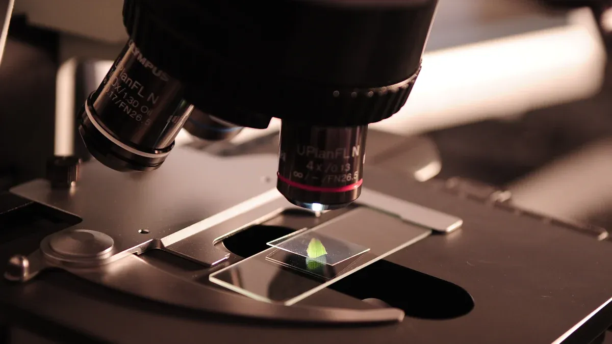 Practical Applications of Optical Filters in Machine Vision Systems