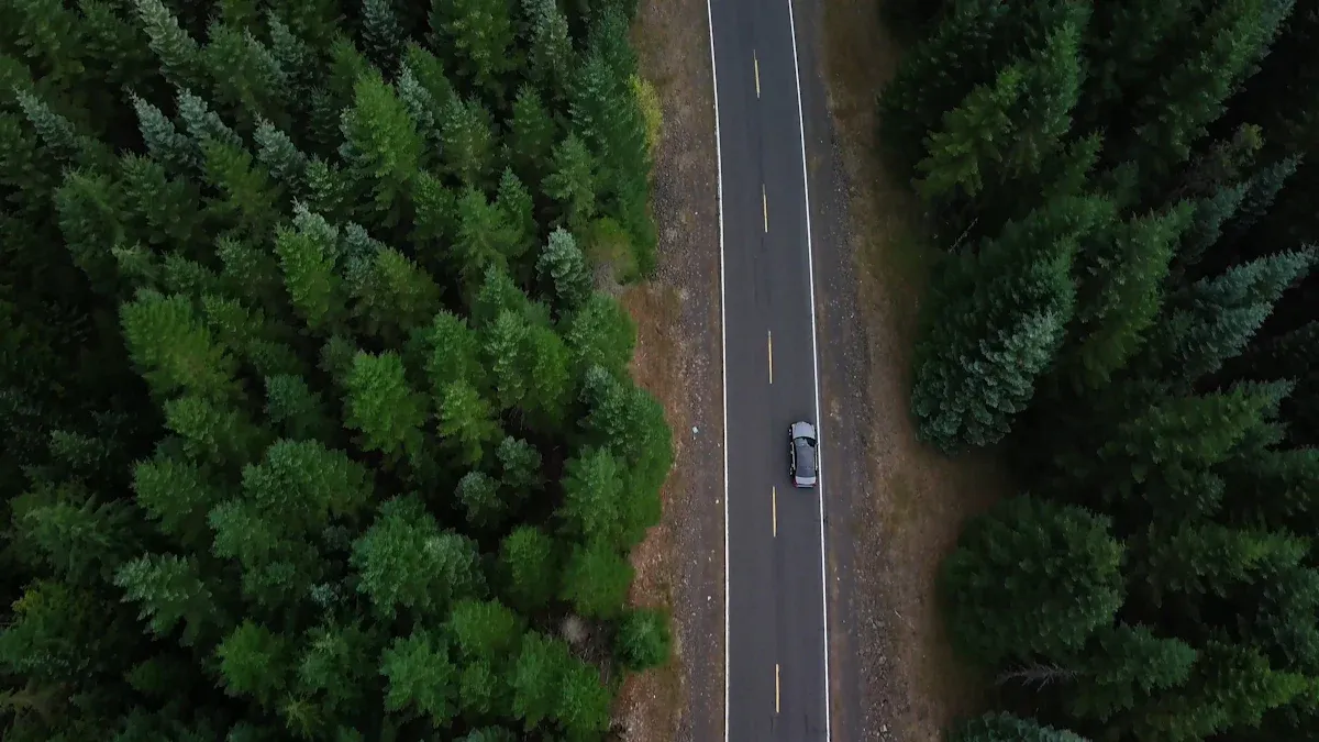 Myth 4: Random Forests Cannot Scale to Large Datasets