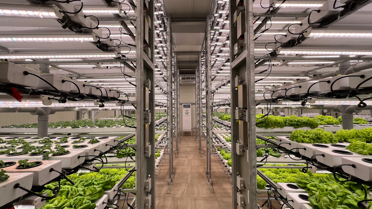Key Machine Vision Applications in Food Production