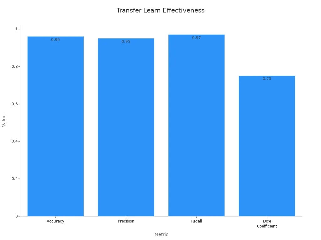 Bar chart of transfer learning performance metrics: accuracy, precision, recall, and dice coefficient.