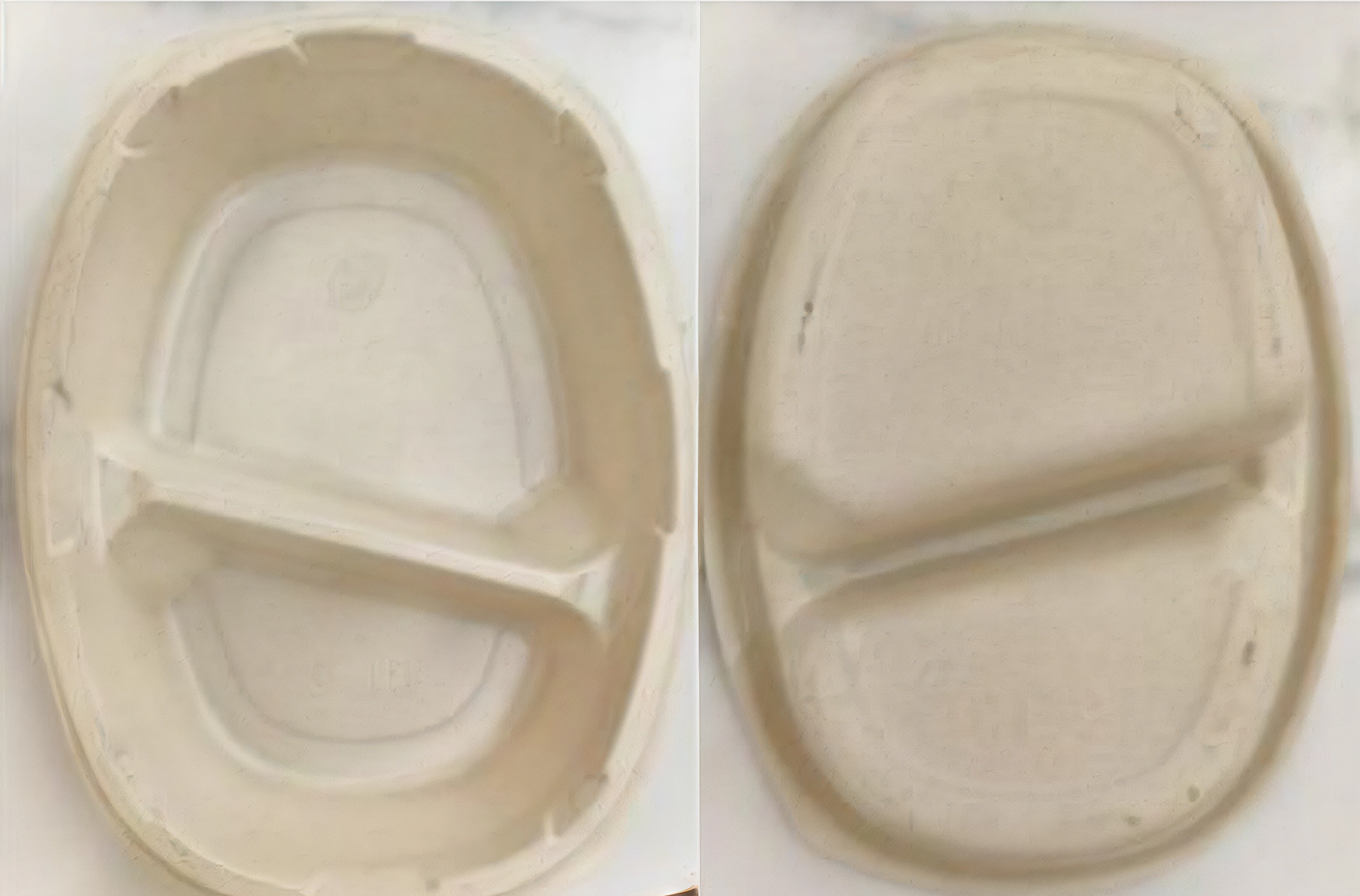 Disposable lunch boxes require inspection on both the food-contact surface and the exterior. 