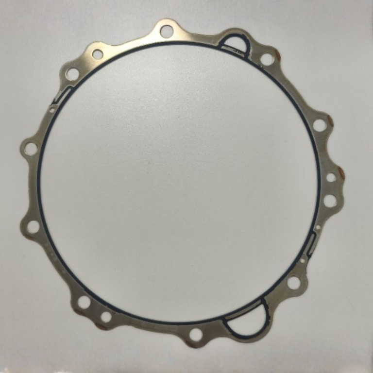 No Leaks Allowed: AI Surface Inspection for Metallic Rubber Gaskets